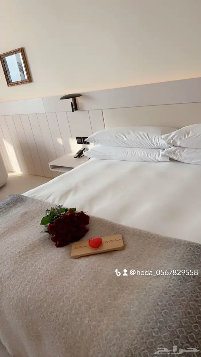 تنسيق حفلات 12