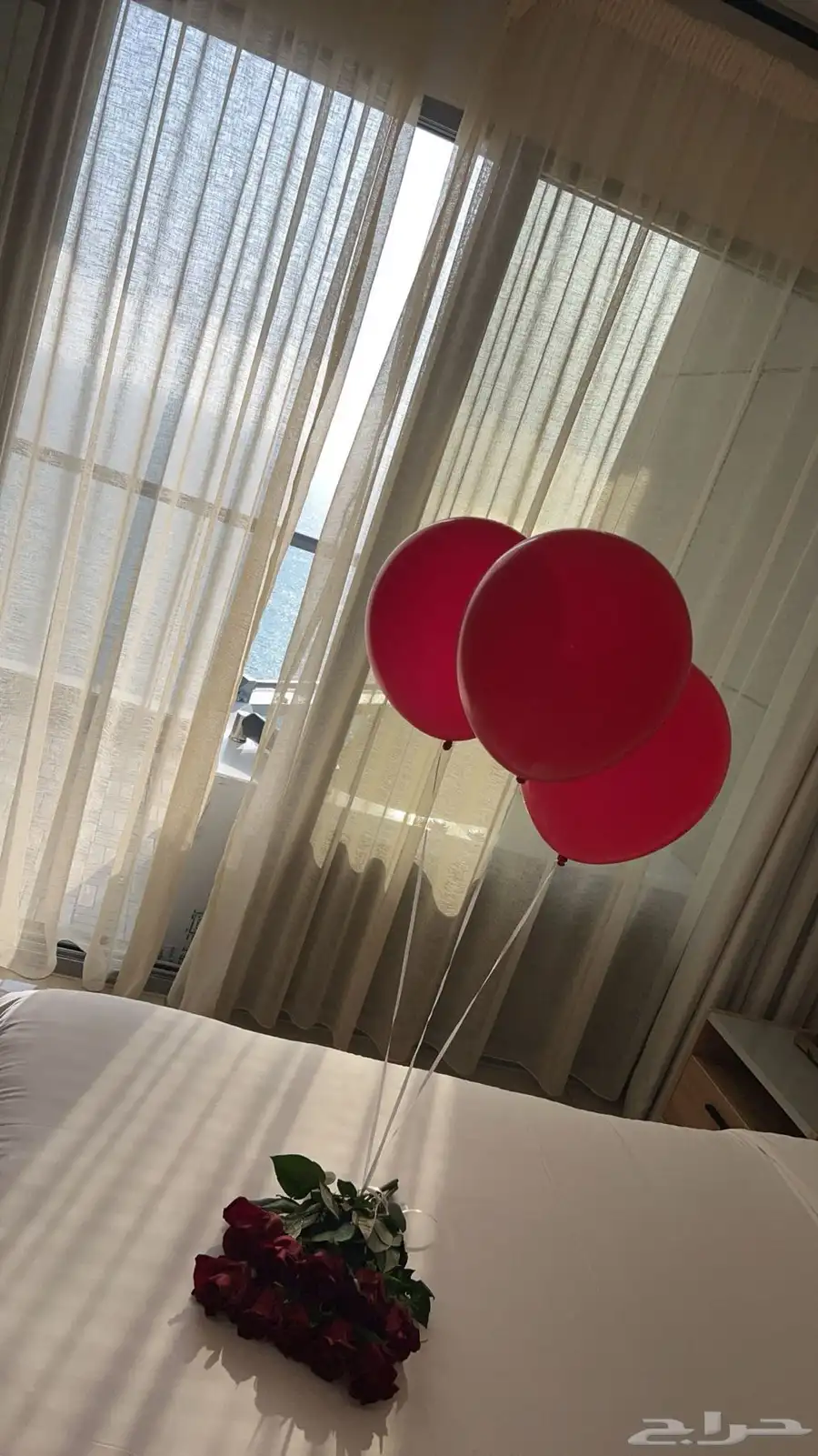 تنسيق حفلات 28