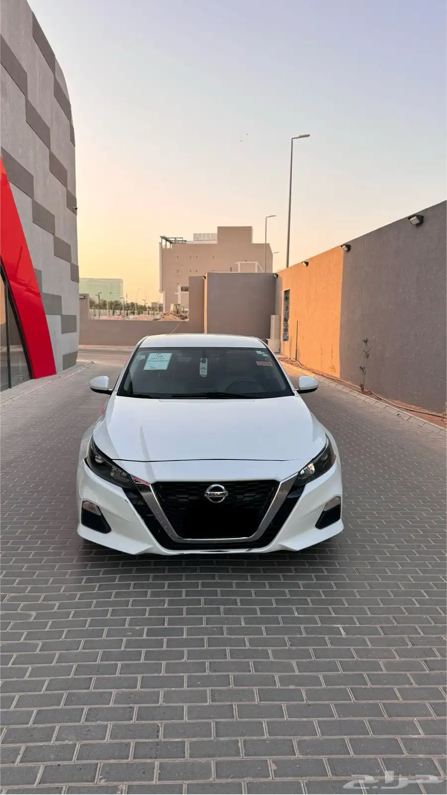 التيماء 2021 ستاندر 1