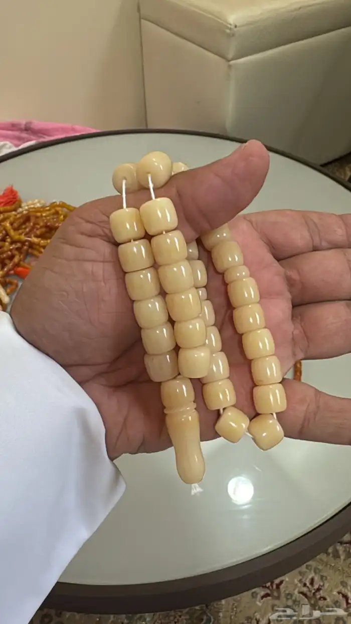 الزلفي السيح 1