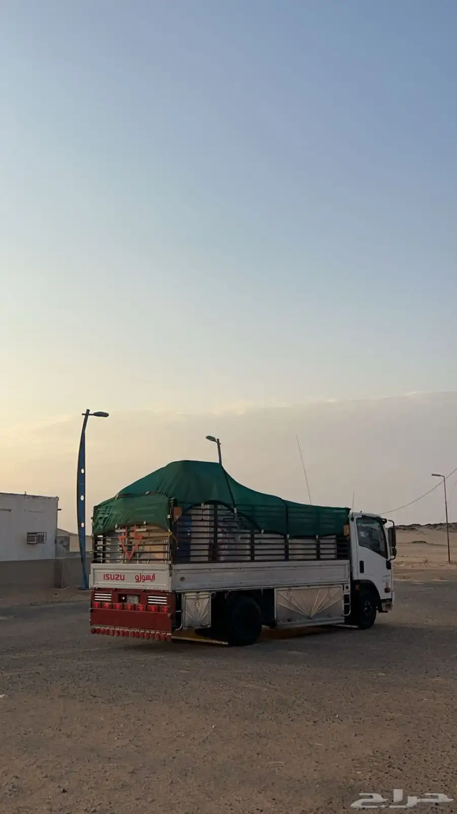 دنه نقل بيشه وخارجها 1