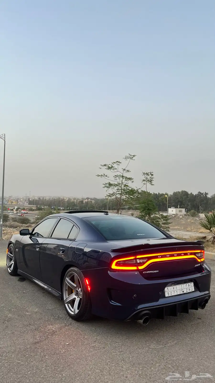 تم البيع 6