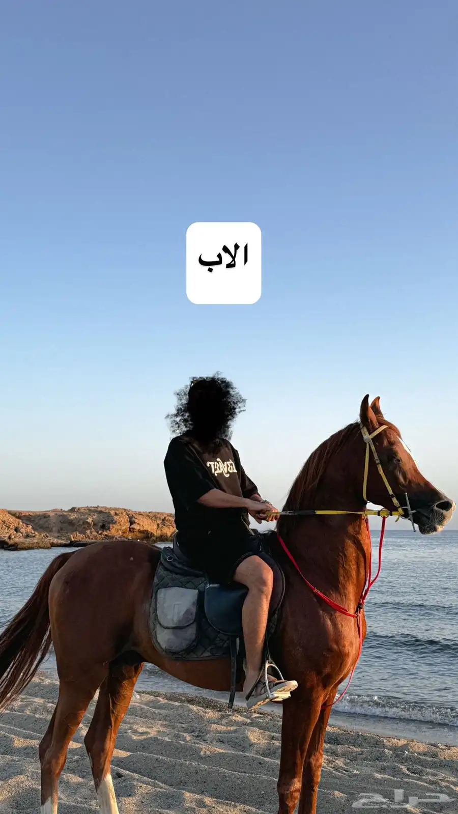 مهرة شعبيه 3