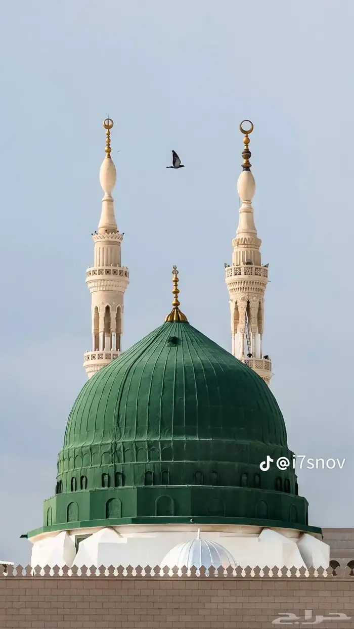 معلمة تأسيس لغات (عربية وانجليزيه) ابتدائي متوسط رياضيات 0