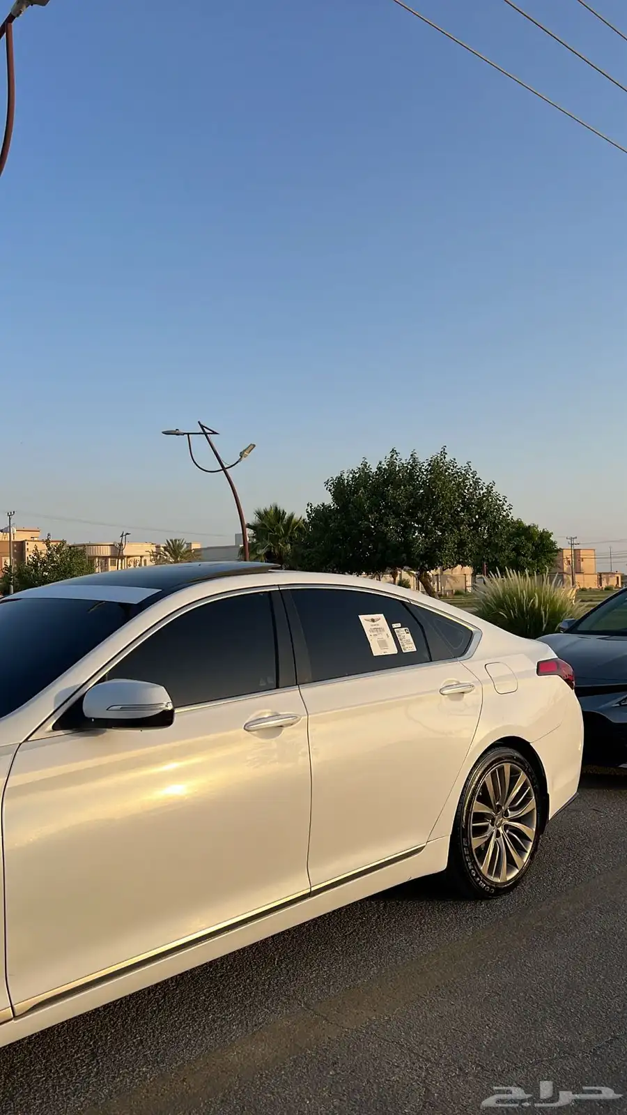 جينيسس 7