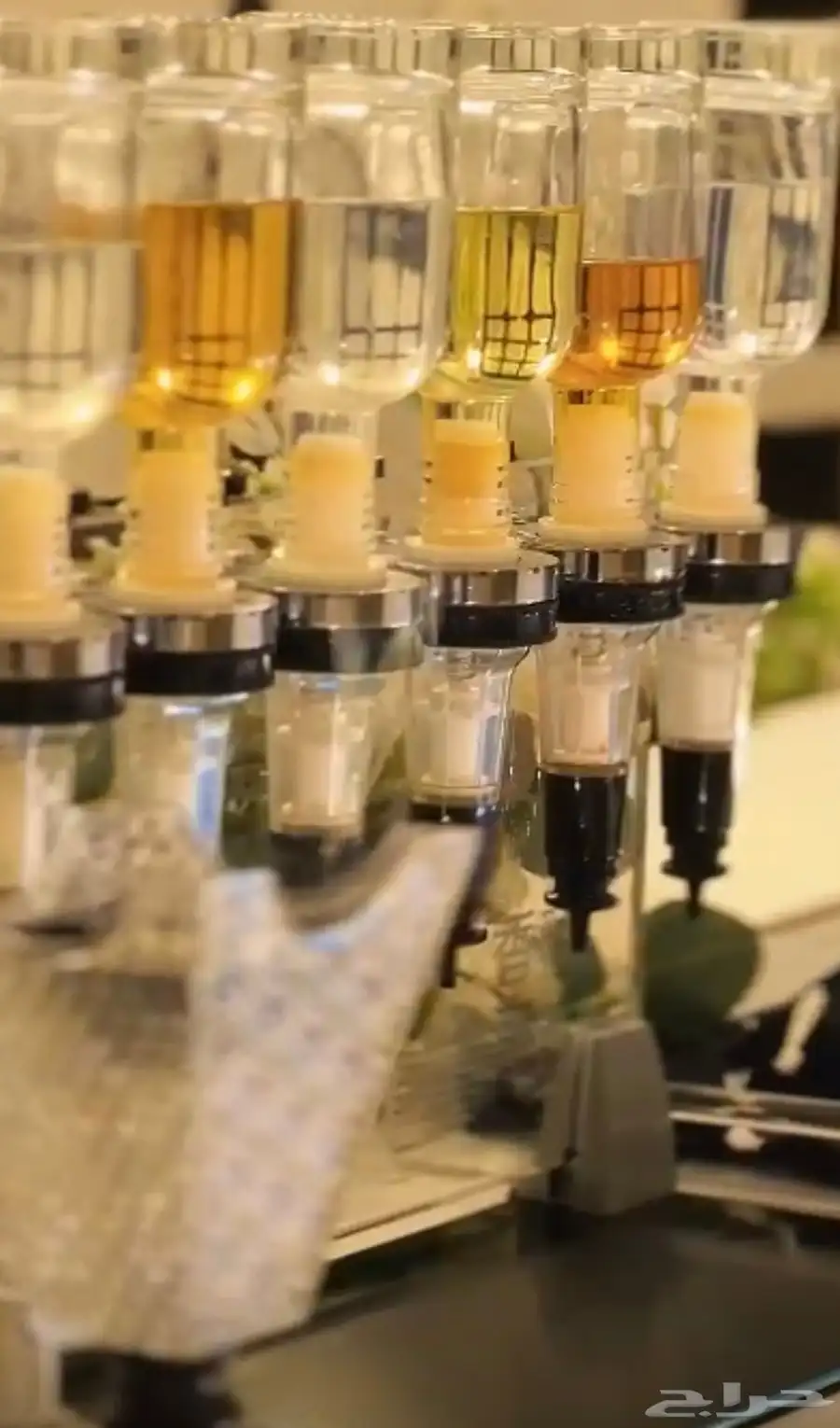 بار عطور 10