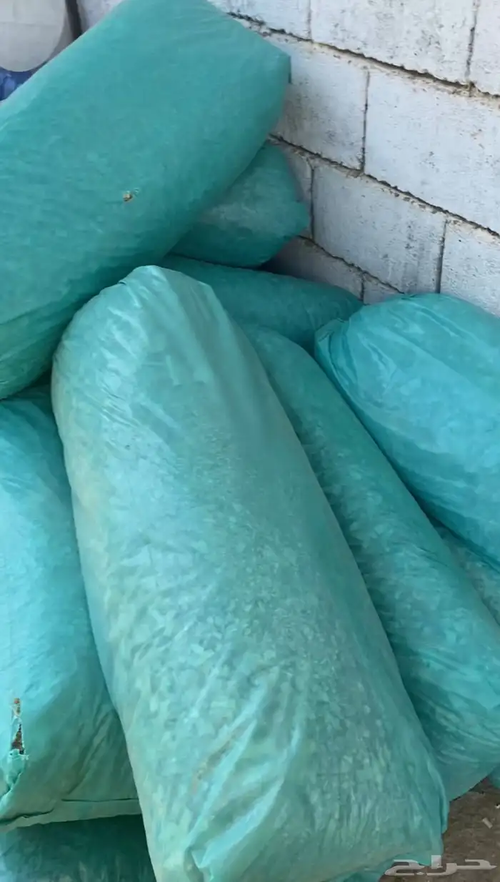 نشاره خيل معقمه 0