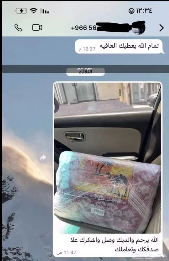 حنبل 6