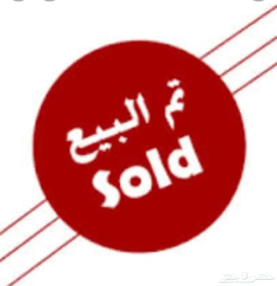 ثور بلدي فحل فاخر(تم البيع) 10