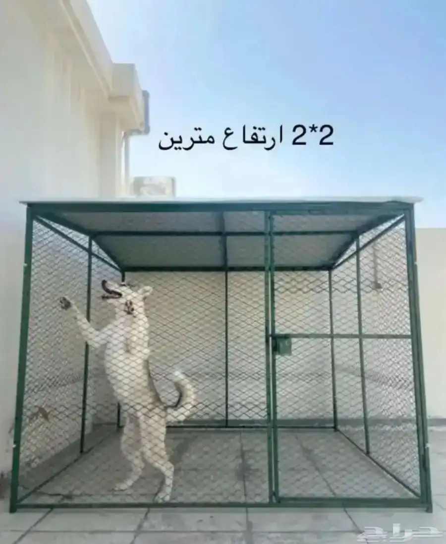 شبك بقلاوة شبوك دجاج ارانب حمام طيور قفص كلاب اقفاص قطط طير 5