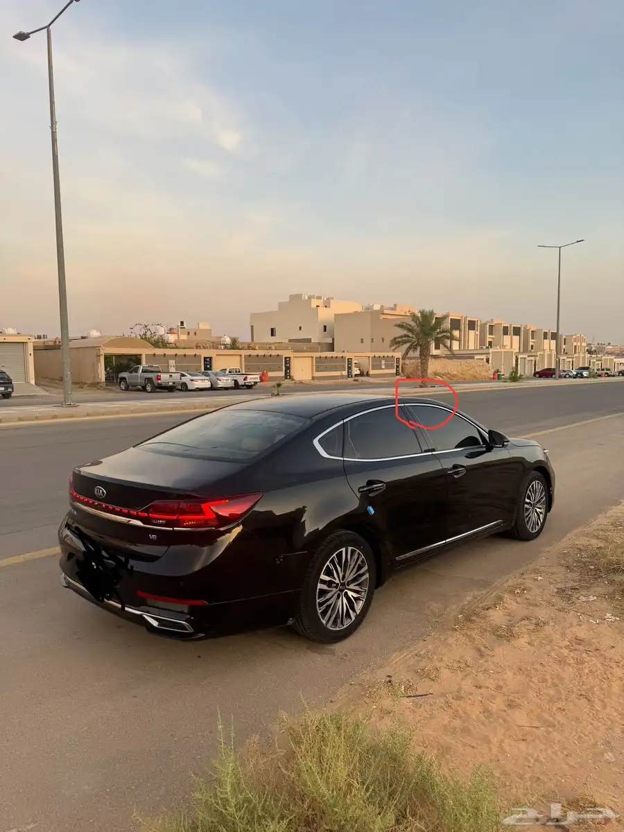 كادنزا2020 3