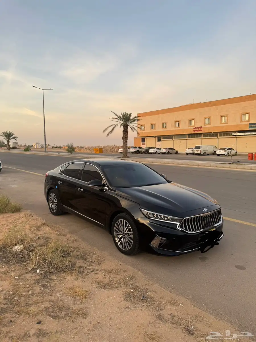 كادنزا2020 0