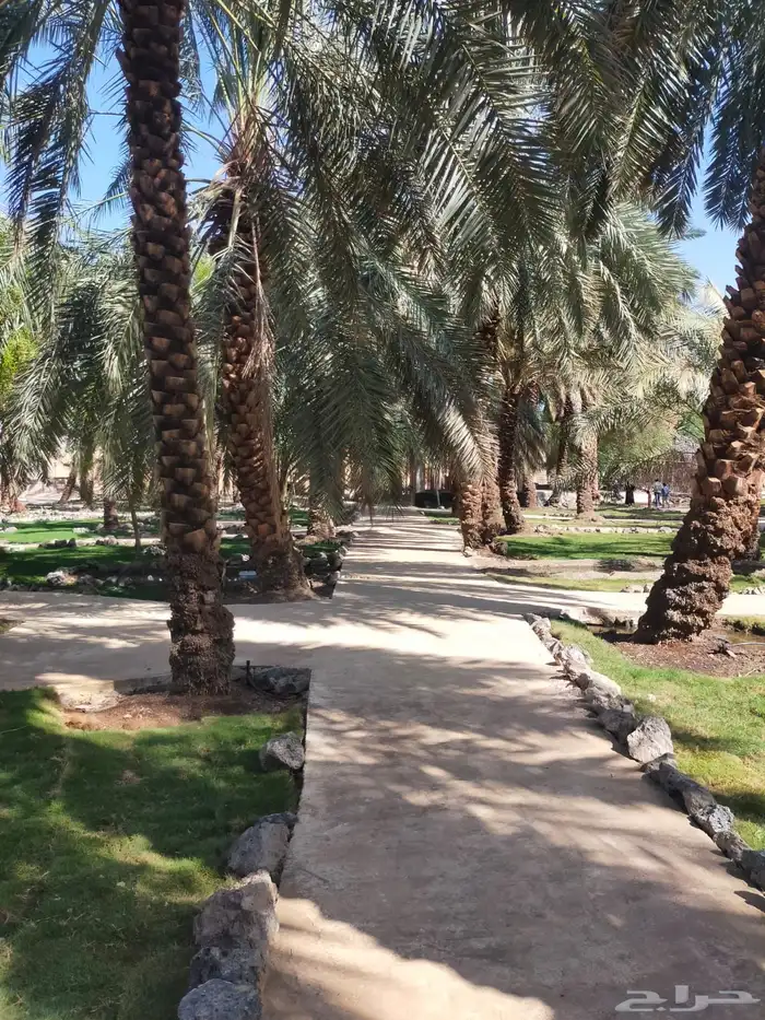 تنسيق حدائق وعمل شلالات 12