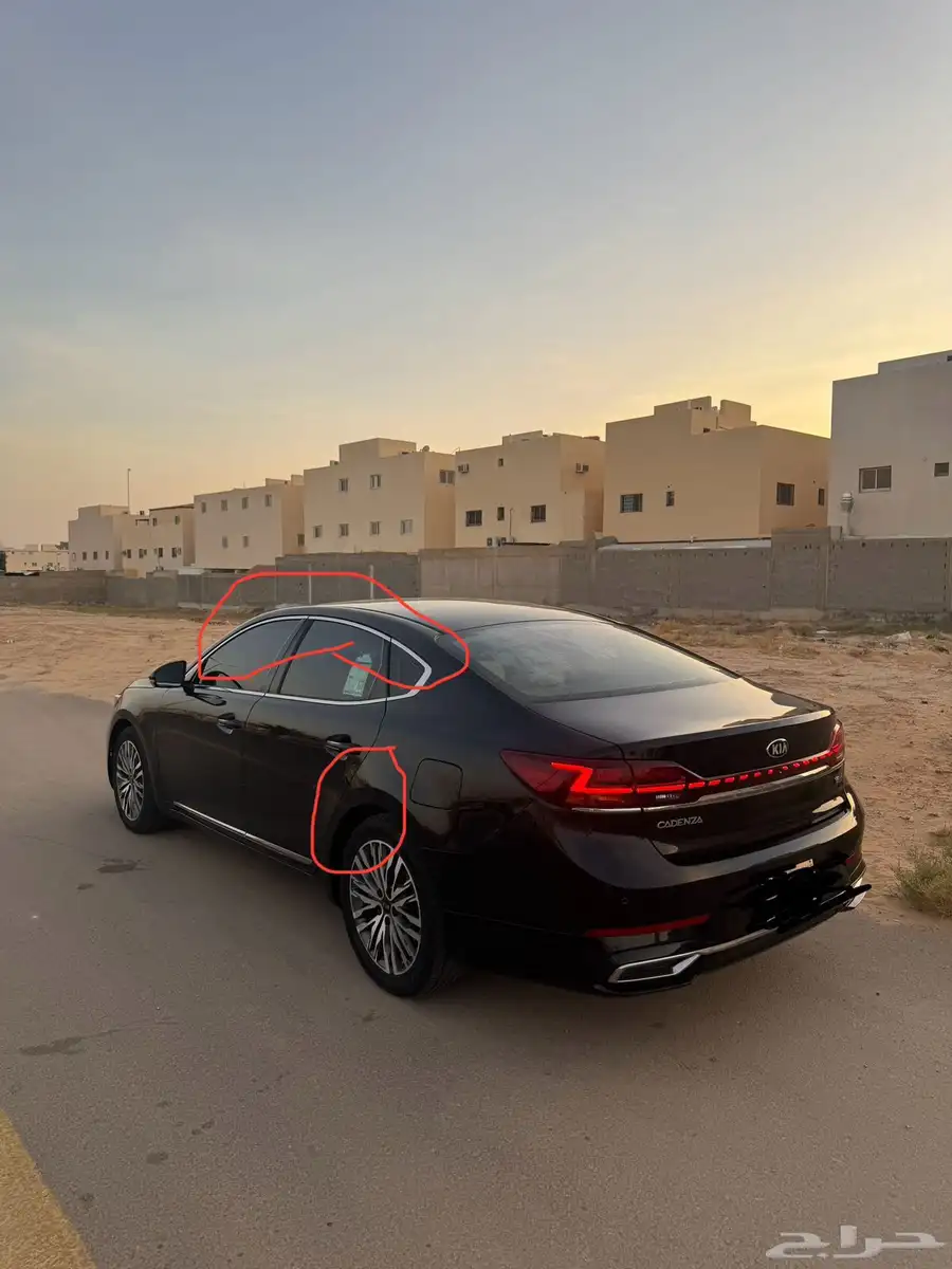 كادنزا2020 2