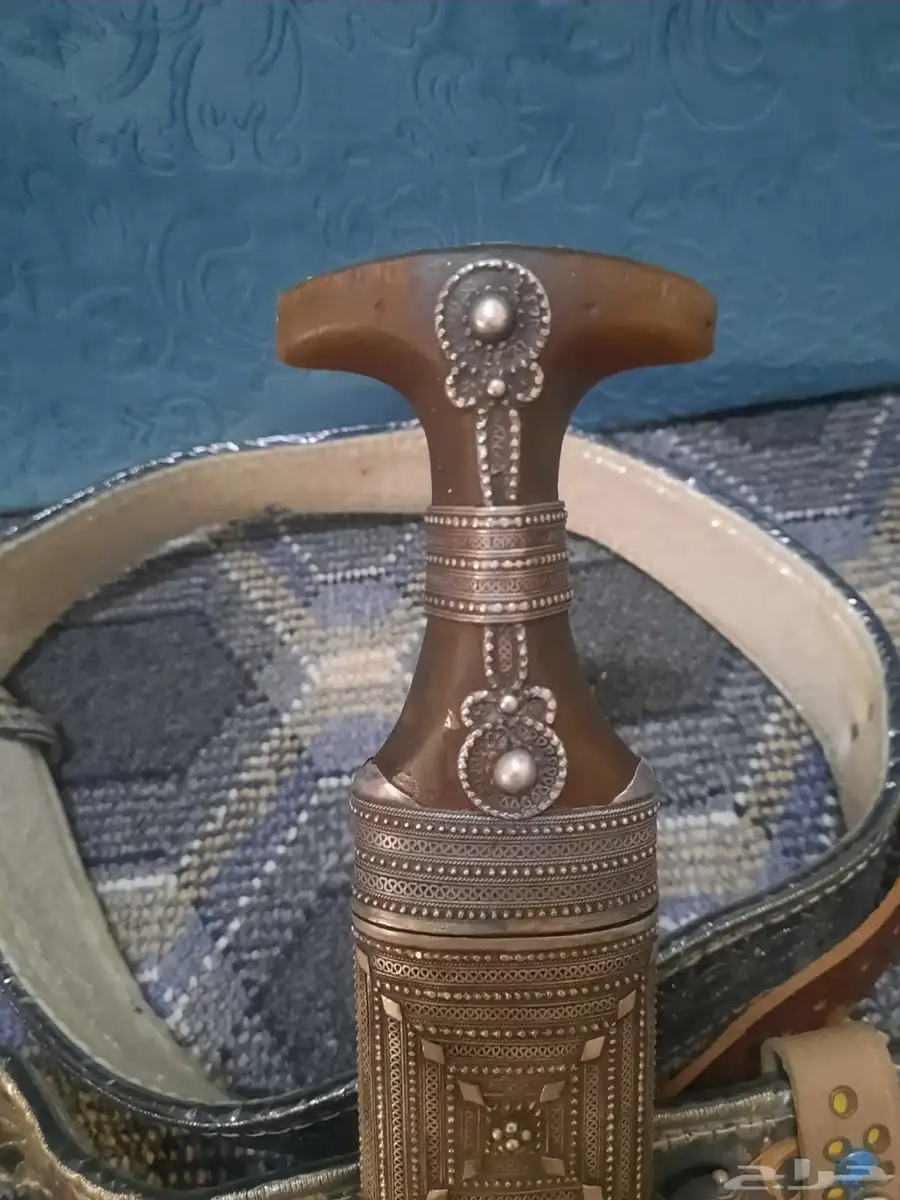جنبيه زراف 1