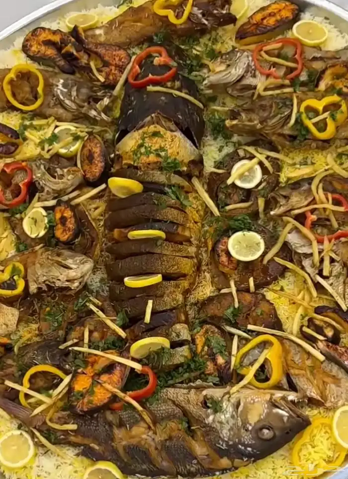 اسماك البحر 11