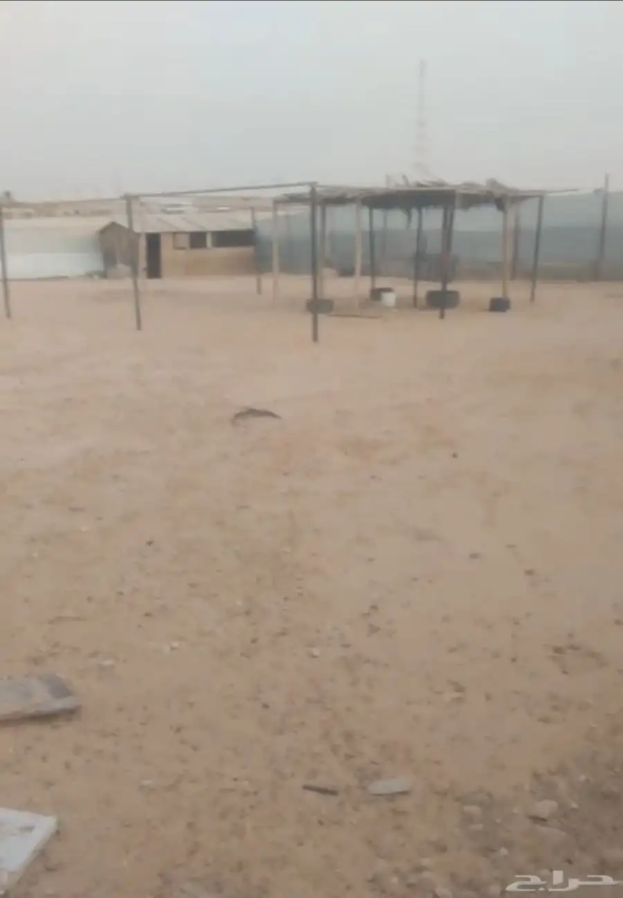 مراح غنم مجهز بالكامل للبيع 10