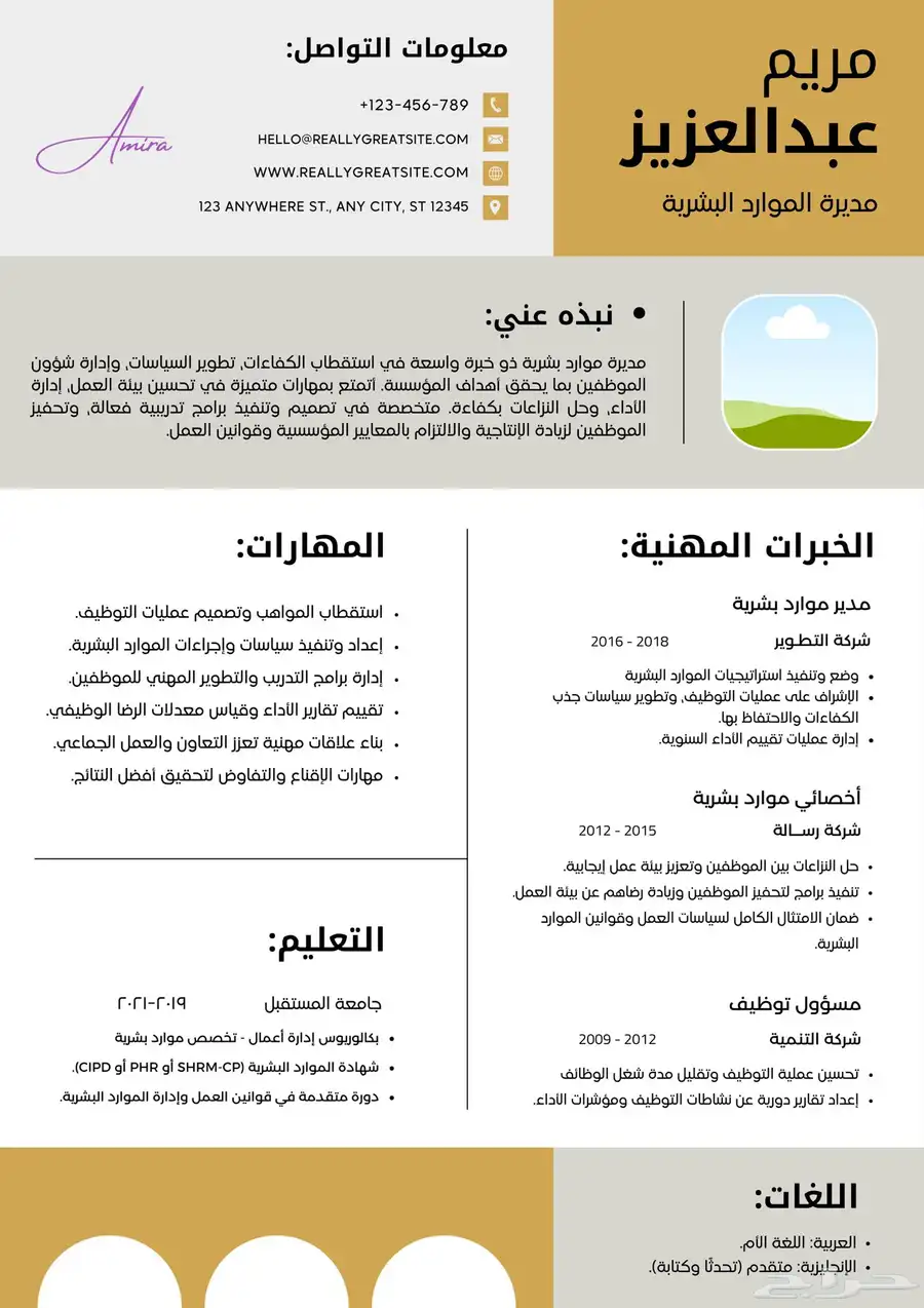 تصميم سيرة ذاتيه بنظام ATS 11