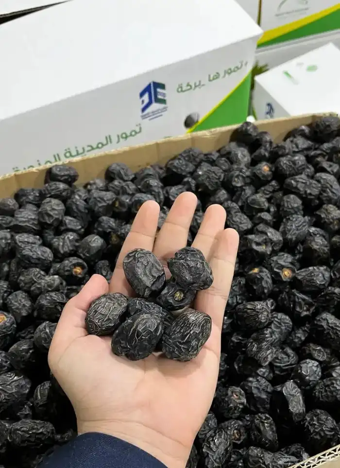 عجوة المدينه المنورة 0