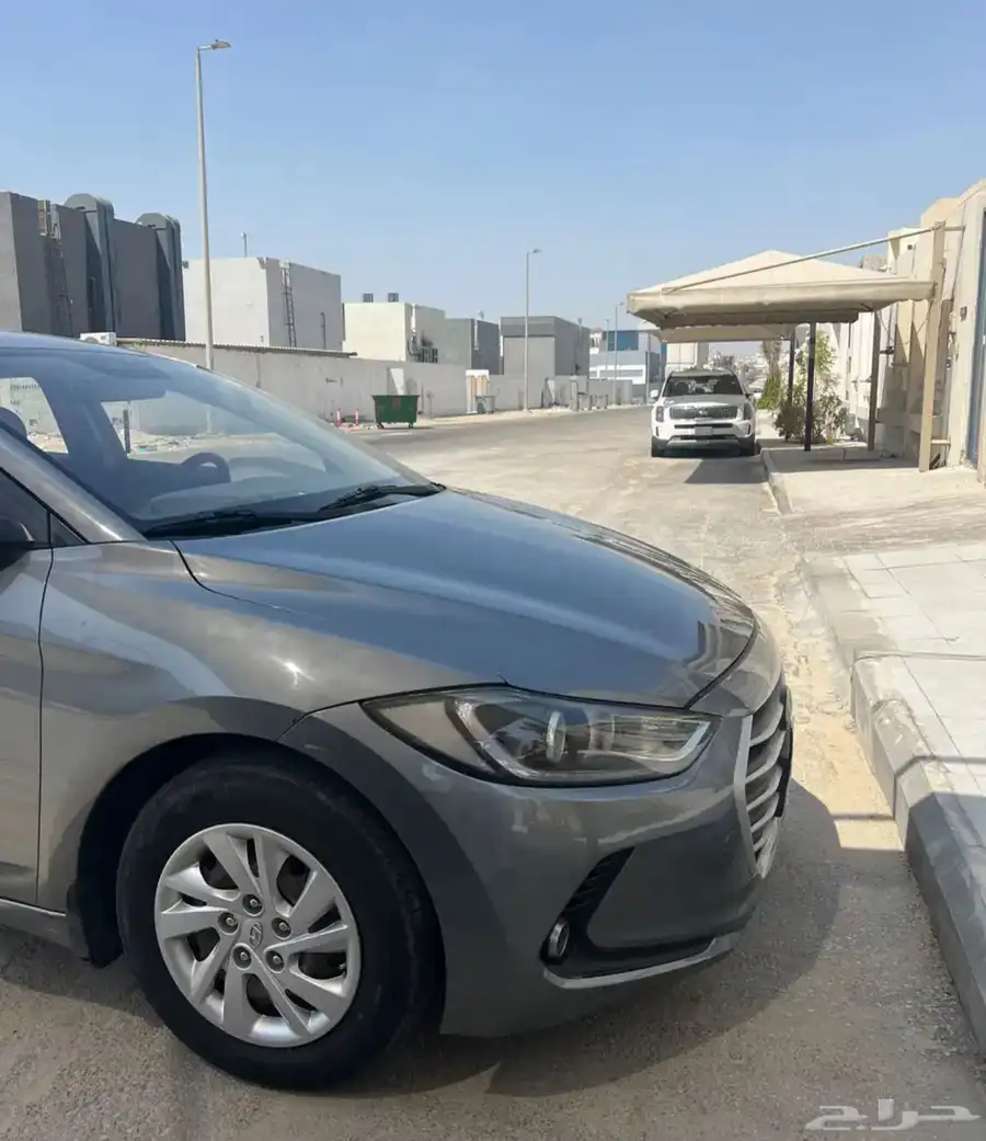 النترا 2017 20