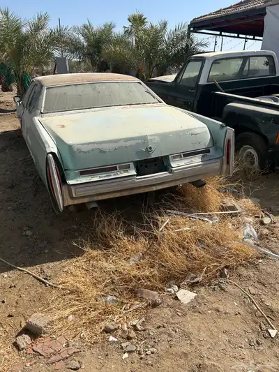 عندى سيارات كلاسيكيه 6