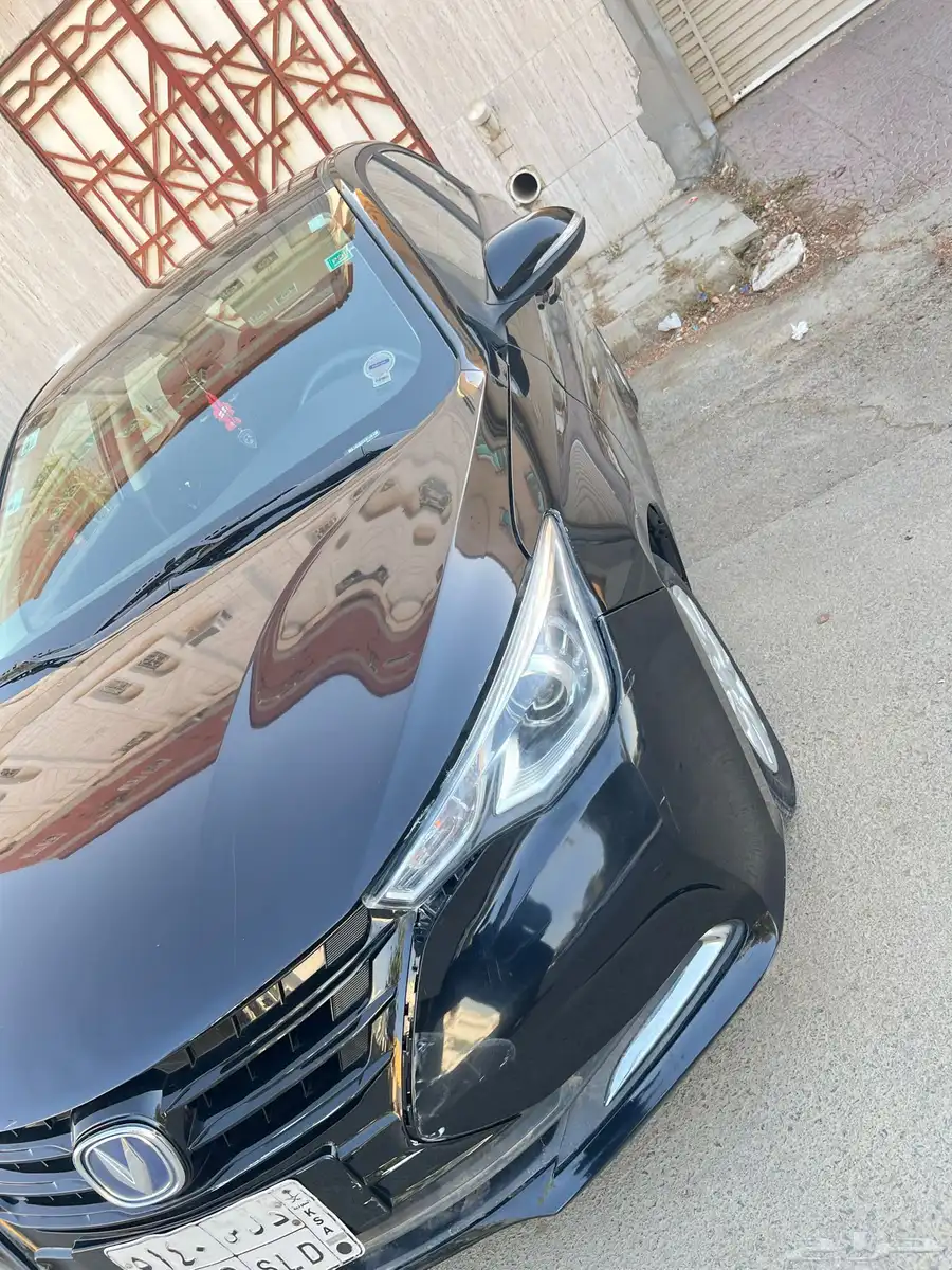 شانجان السفن 2020 1