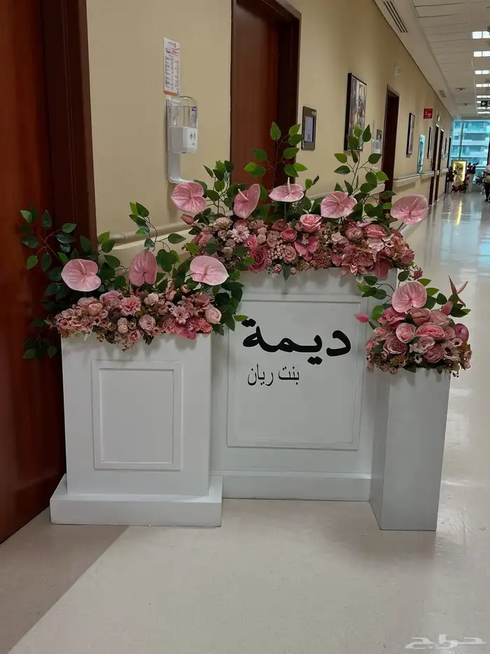 استقبال مواليد بيع وايجار 12