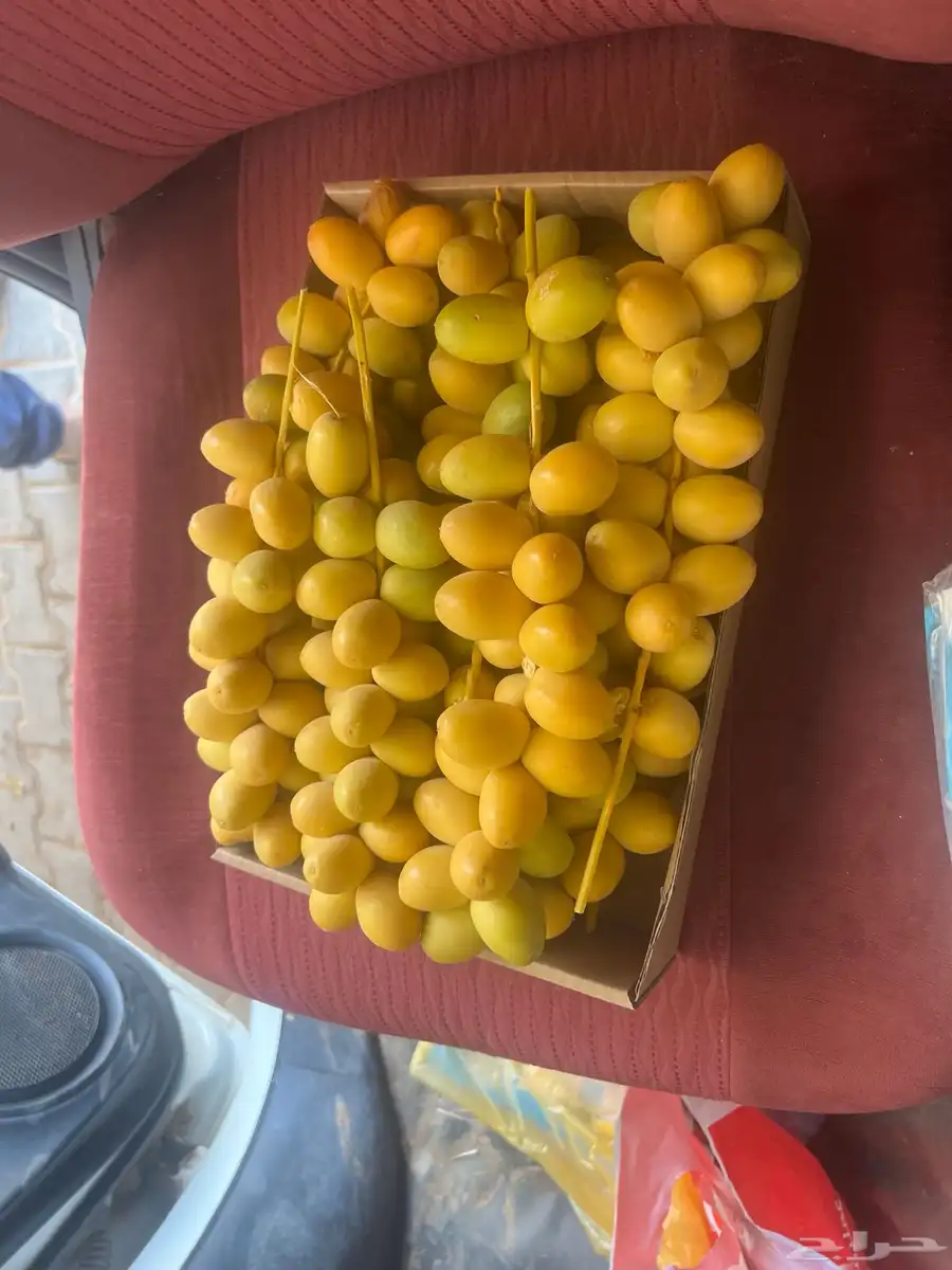 موجود برحي شكل وطعم على الطلب نوفر لك الكميه 0
