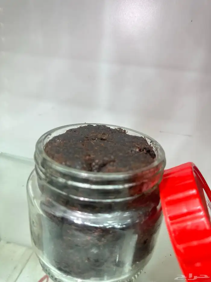 معمول الدوسري جمله الجمله يوجد عينات مجانا اصنع بخورك بطريقك 15