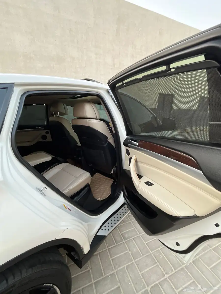 BMW 2009 X6 17