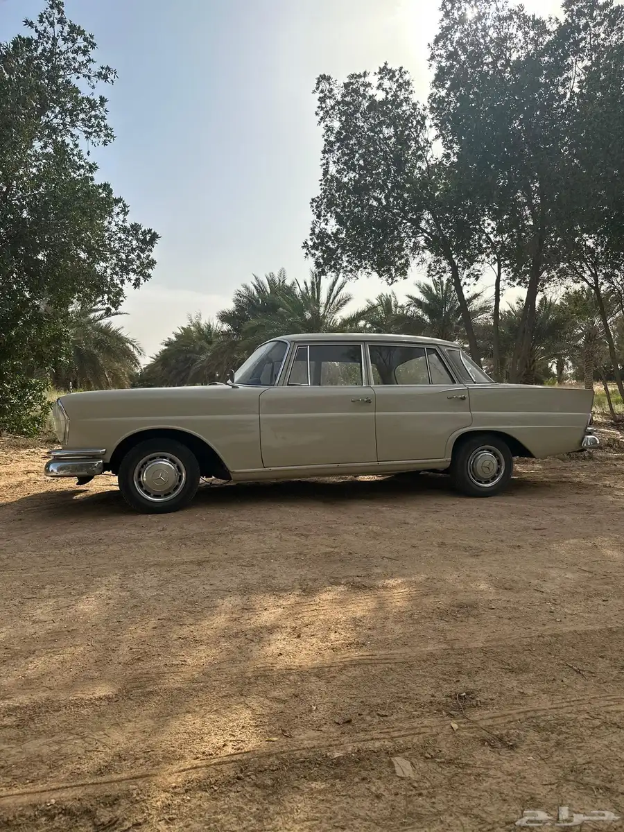 مرسيدس 1961 كلاسيك 23