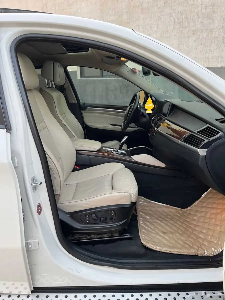 BMW 2009 X6 18