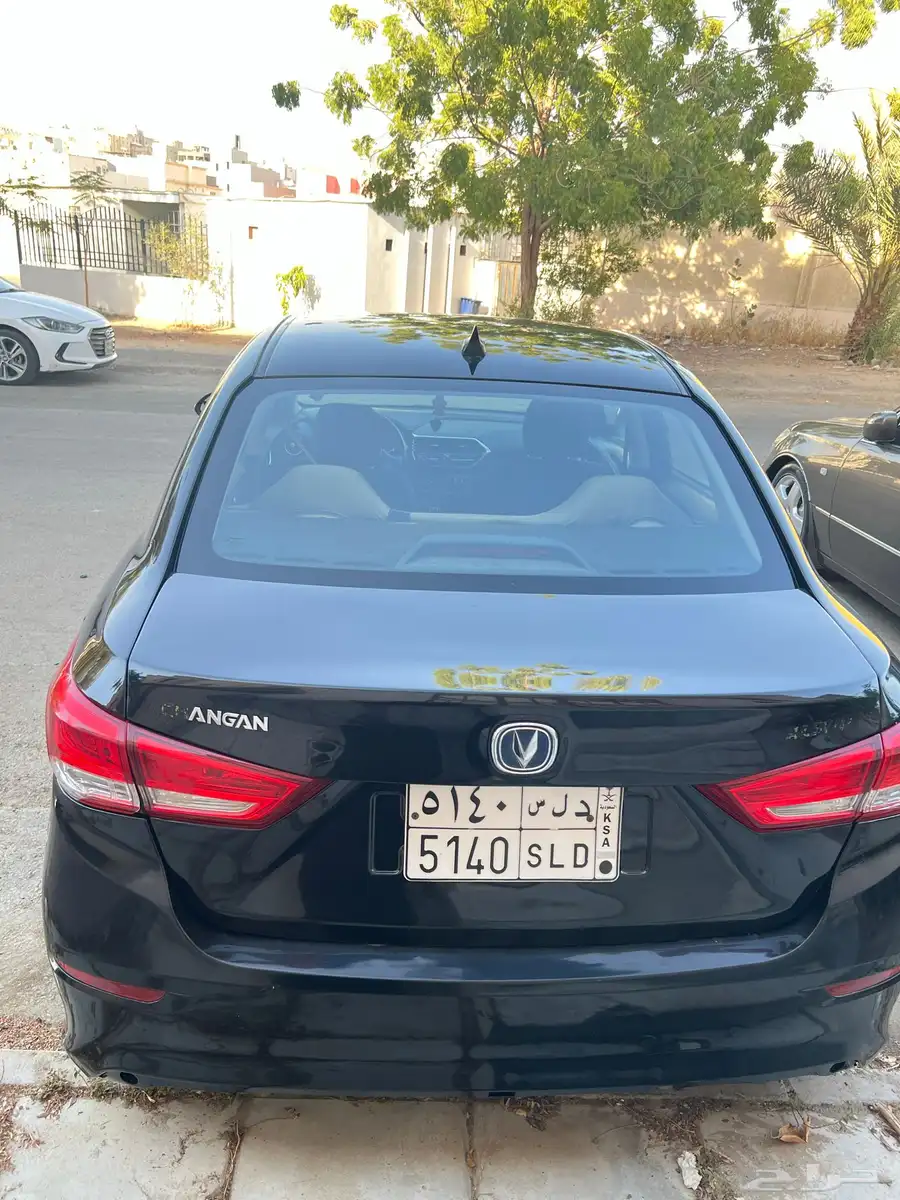 شانجان السفن 2020 4