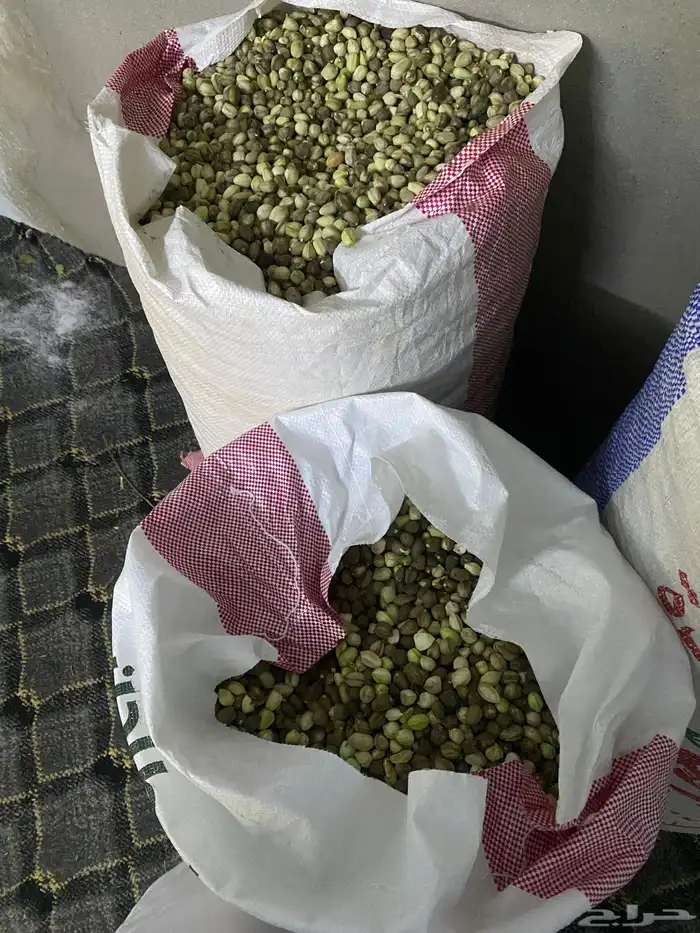 بان 1
