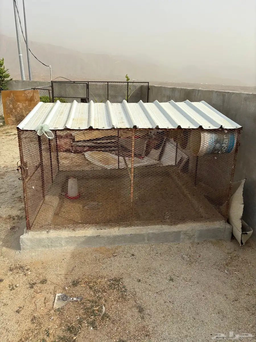 بيع 2