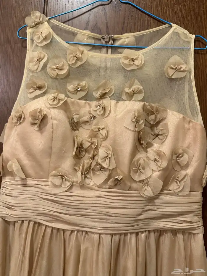 فستان مستعمل من مصمم مقاس XL 1