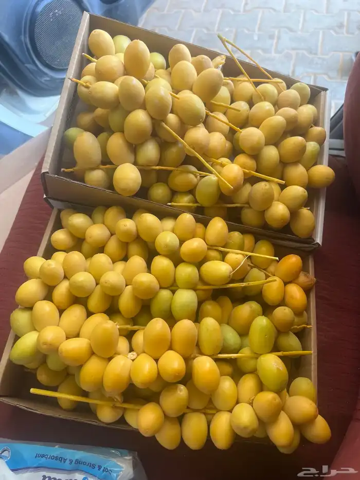 موجود برحي شكل وطعم على الطلب نوفر لك الكميه 1