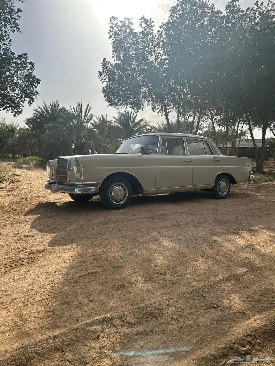 مرسيدس 1961 كلاسيك 22