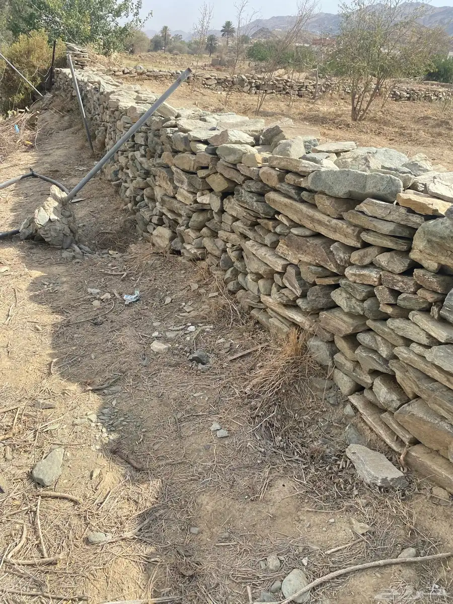 حجاره بنيان 6