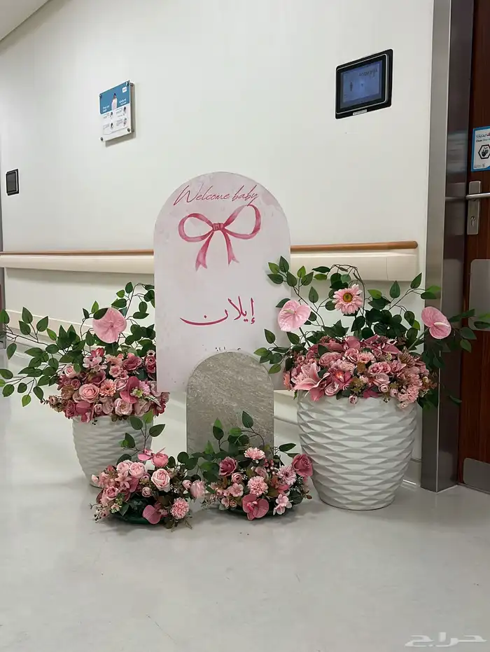 استقبال مواليد بيع وايجار 6