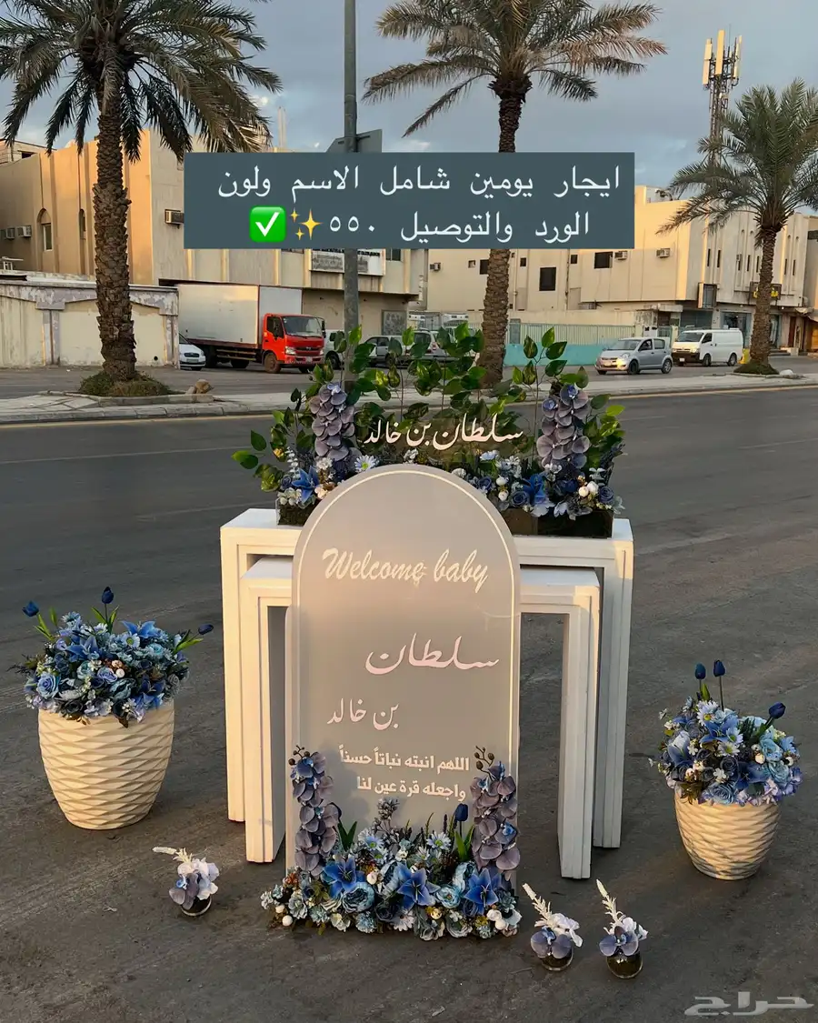 مدخل استقبال مواليد 4