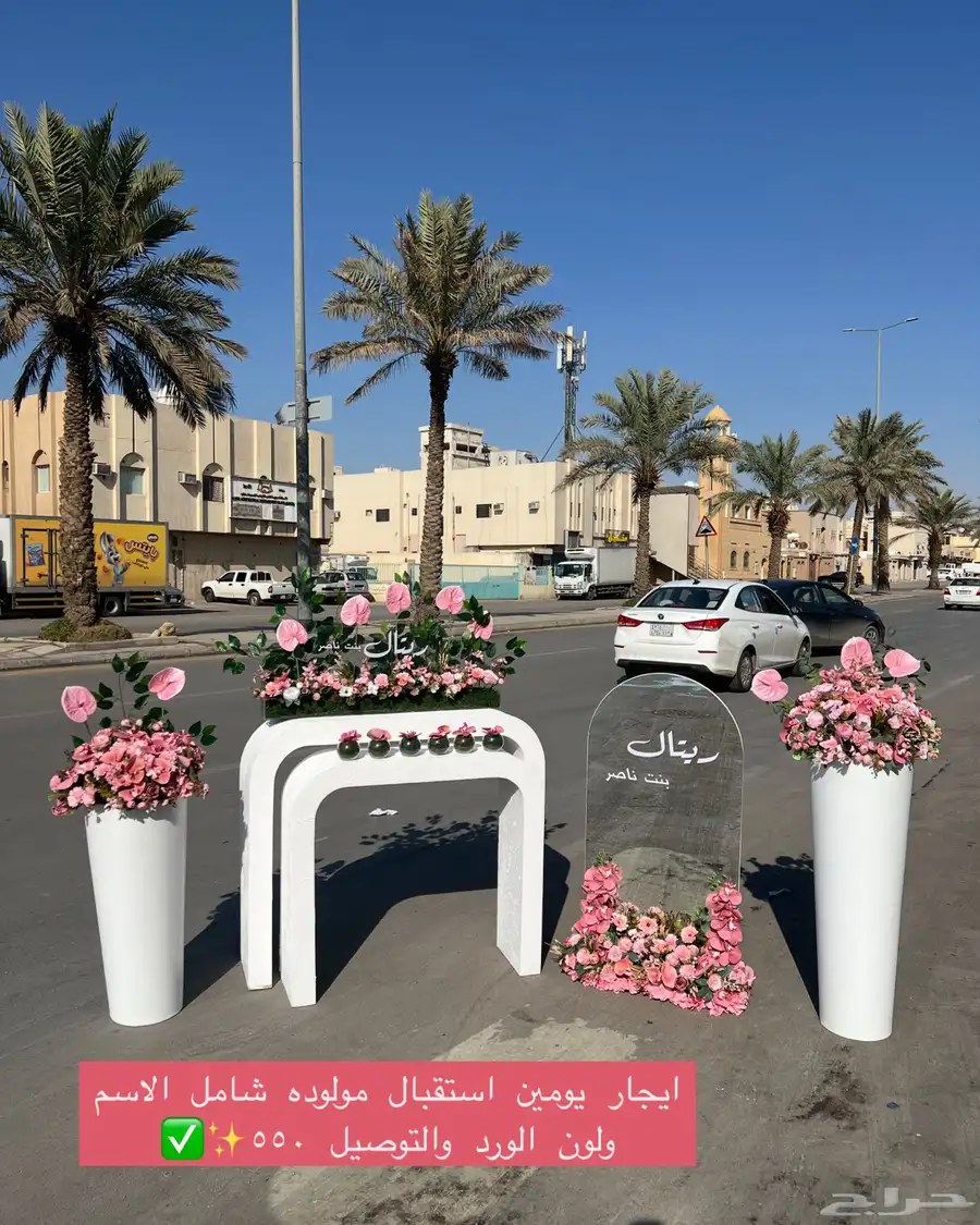 مدخل استقبال مواليد 6