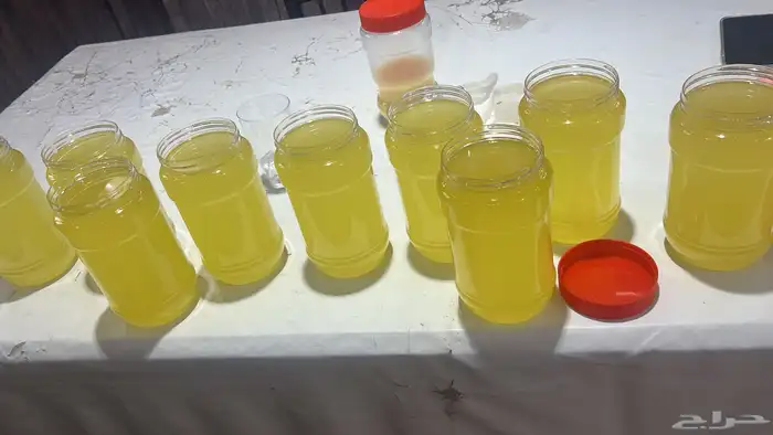 سمن ماعز   مضير 4