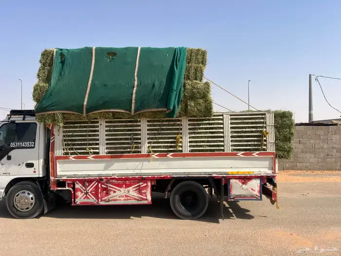 برسيم   صافي ناعم 0