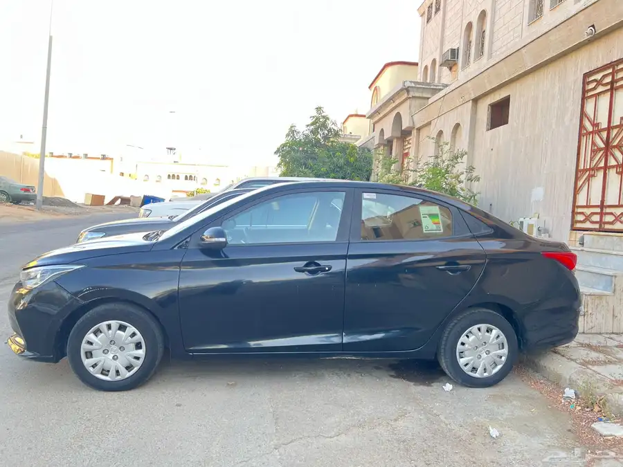 شانجان السفن 2020 5