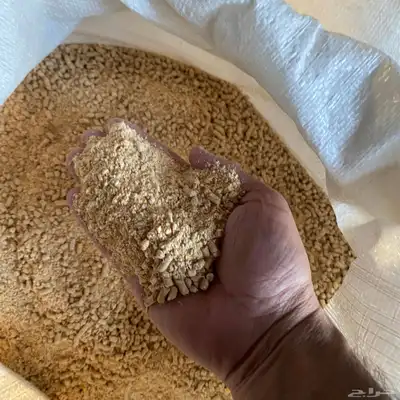 علف فقيه  بيشة 0