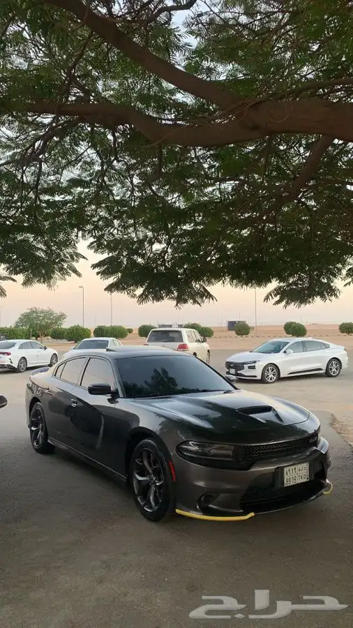 دوج تشارجر 2019 GT 5