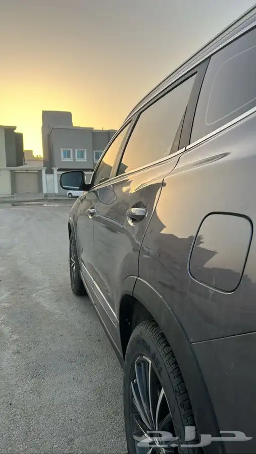شيري 11