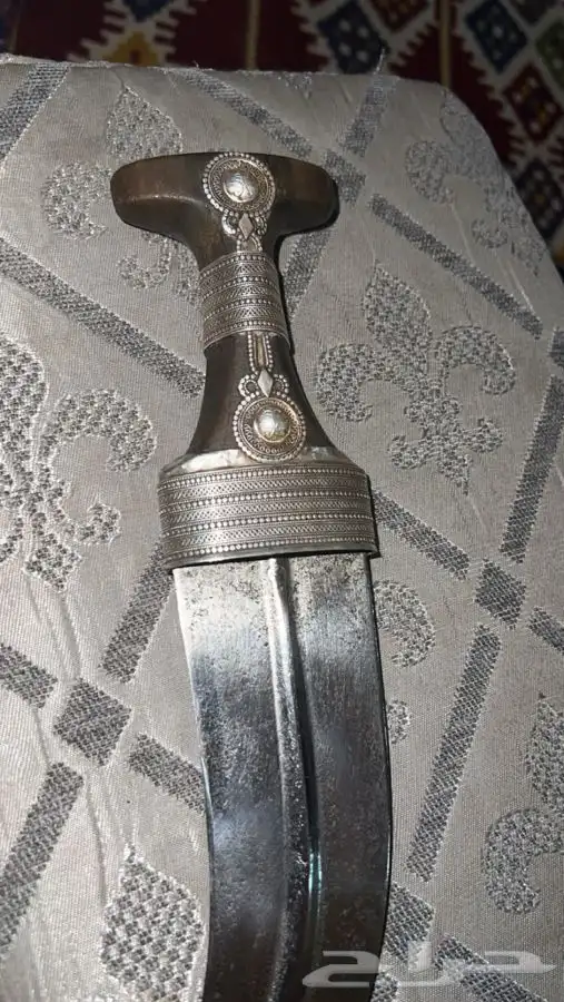 جنبيه زراف كفو وقديمه وسلتها وصبها كفو 3