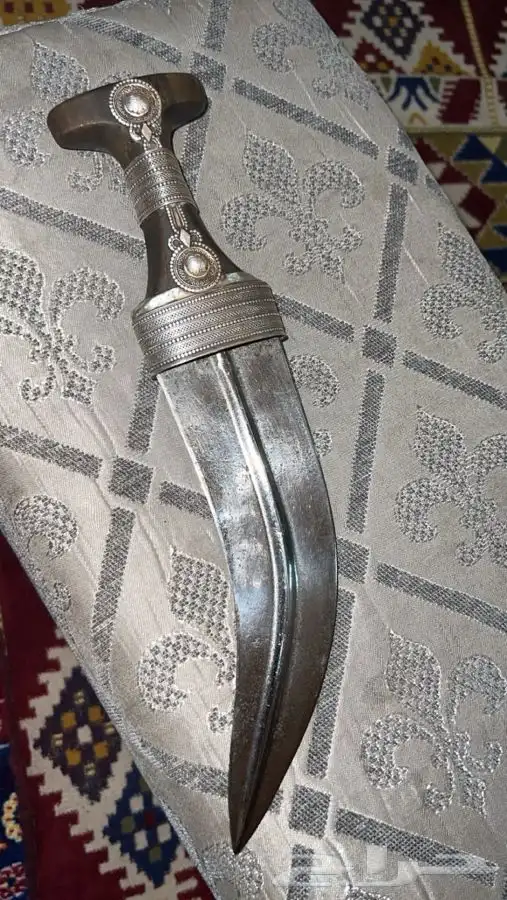 جنبيه زراف كفو وقديمه وسلتها وصبها كفو 2